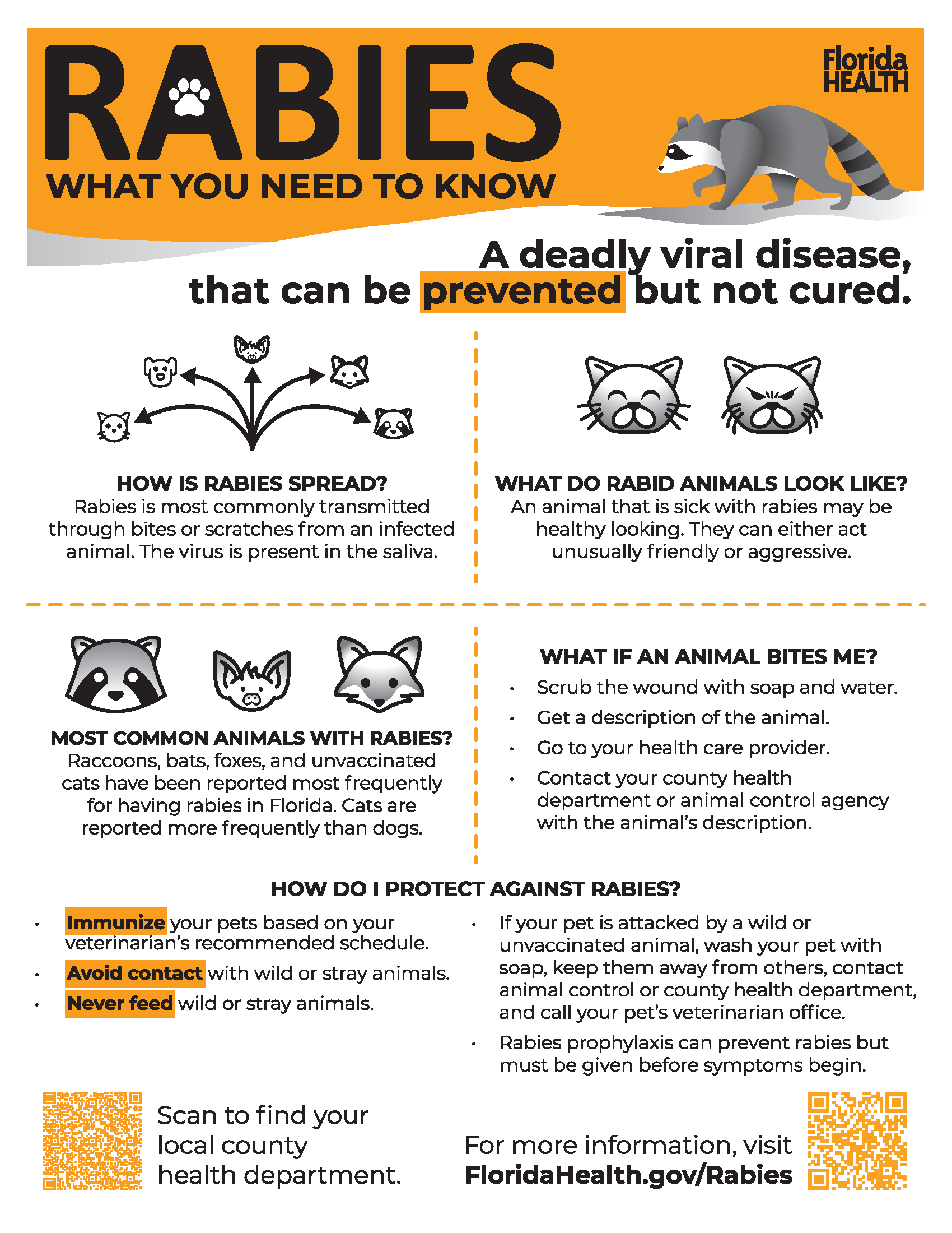 Image of rabies flyer linked below.